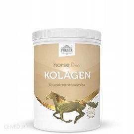 Witamina Dla Konia Horse Line Suplement Na Stawy Kolagen 800G